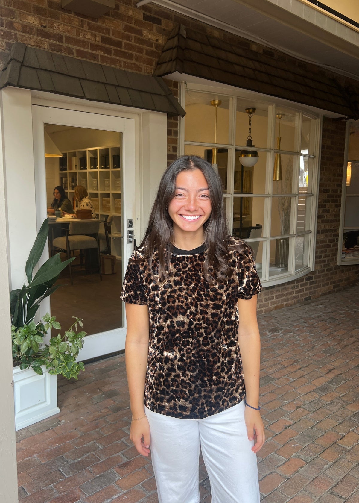 Short Sleeve Velvet Animal Print Top