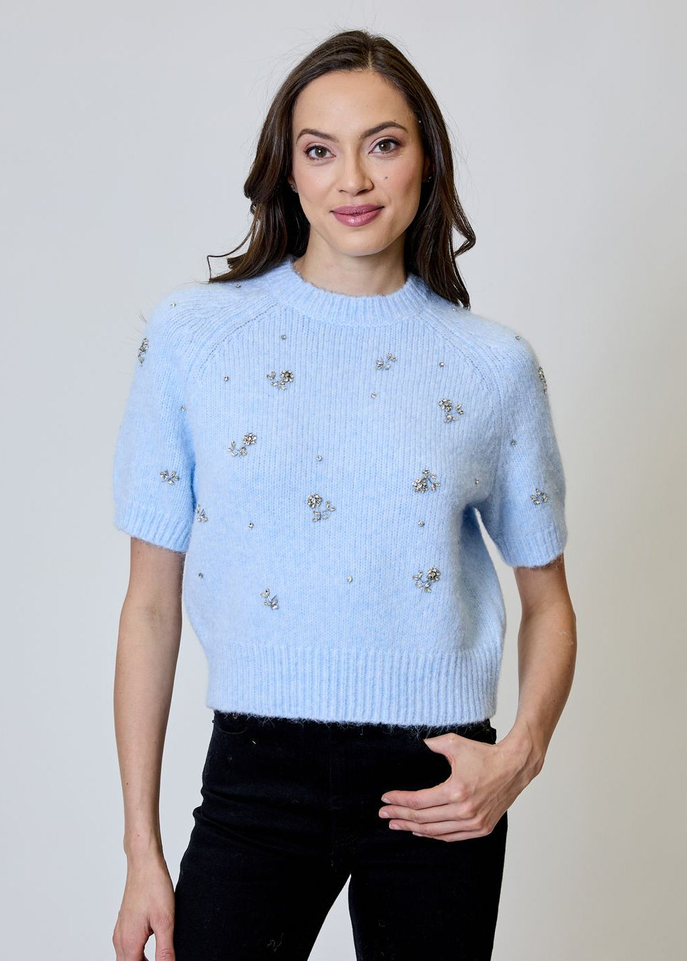 Embroidered Short Sleeve Pullover