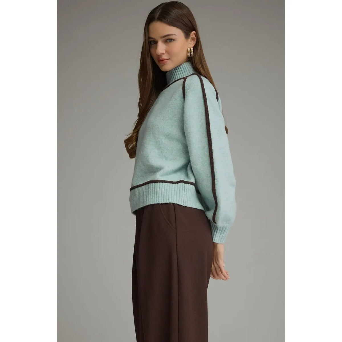 Solid Long Balloon Sleeve Sweater Top