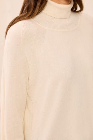Long Sleeve Turtle Neck Sweater