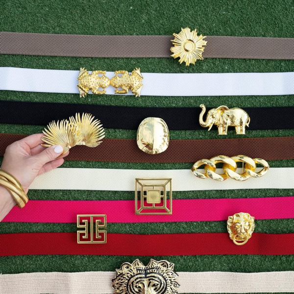 Red Interchangeable Stretch Belt Band