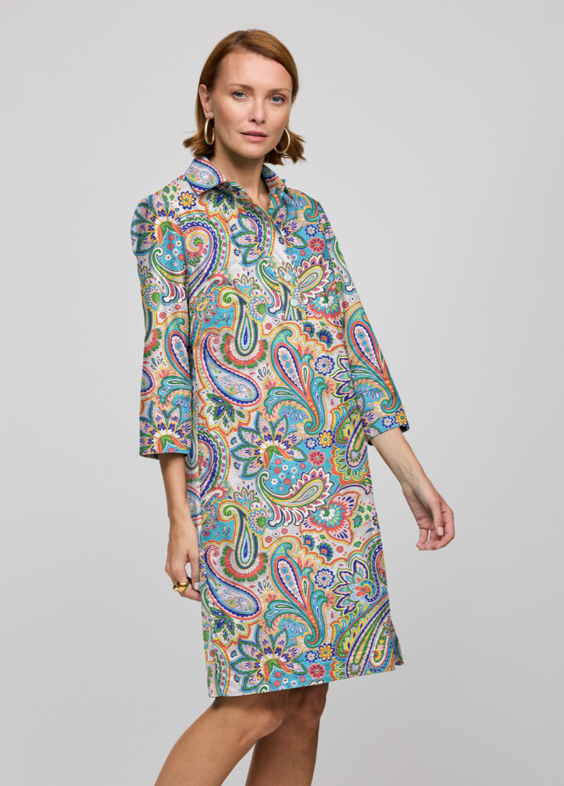 Charlotte 3/4 Sleeve Multi Color Paisley Print Dress