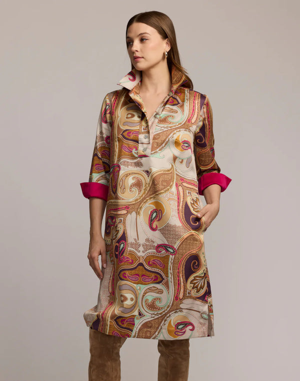 Charlotte Long Sleeve Scarf Print Dress