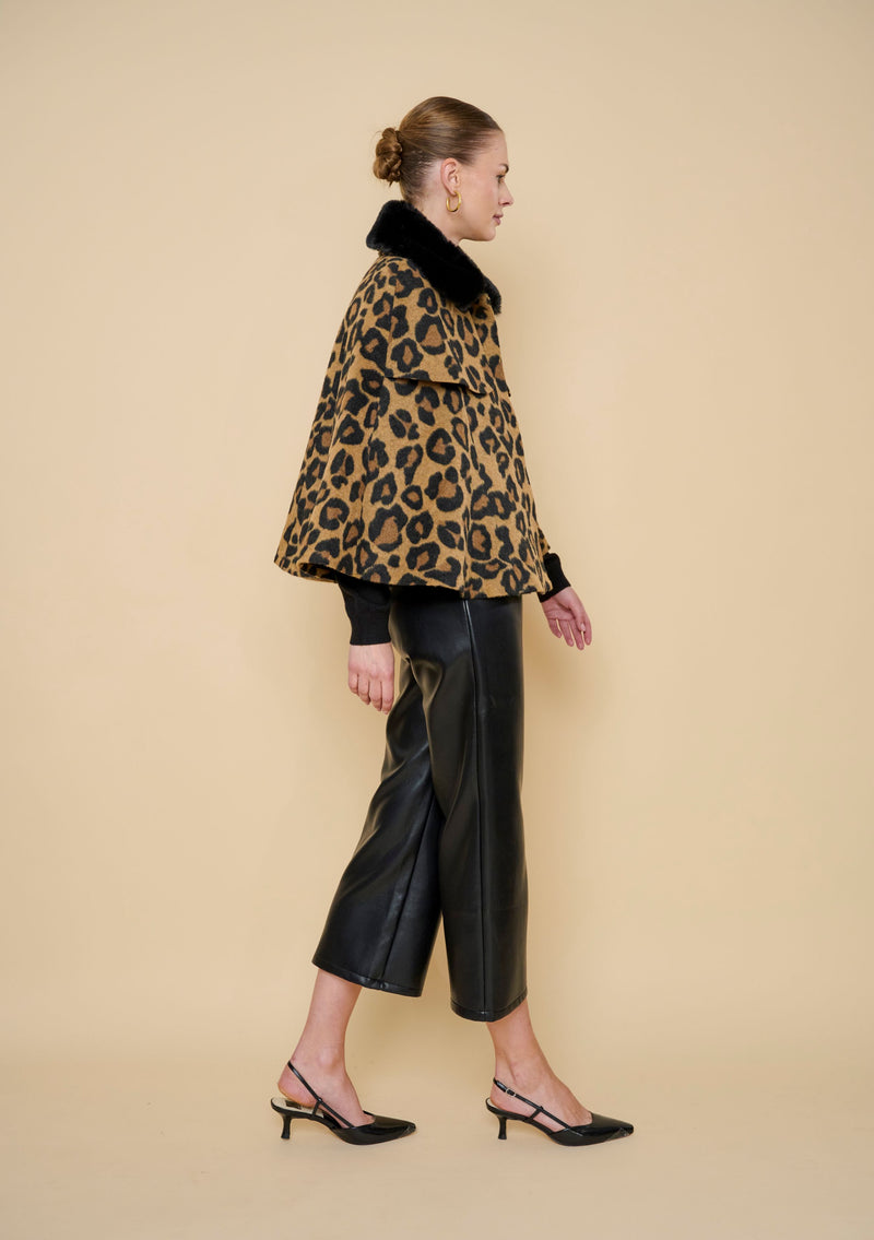 Aly Cape