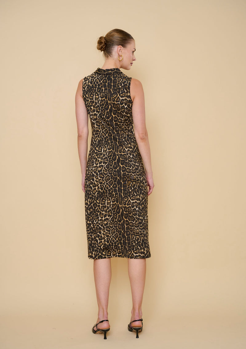 Adrianne Dress