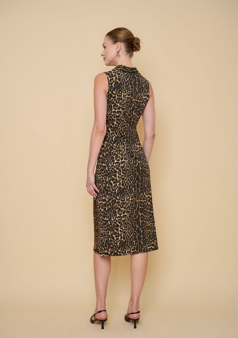 Adrianne Dress