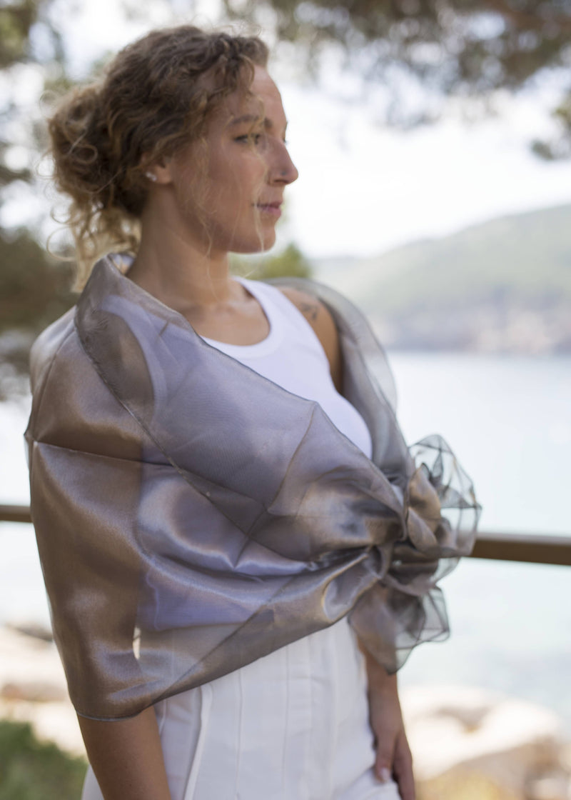 Metallic Silk Organza Party Shawl: Money