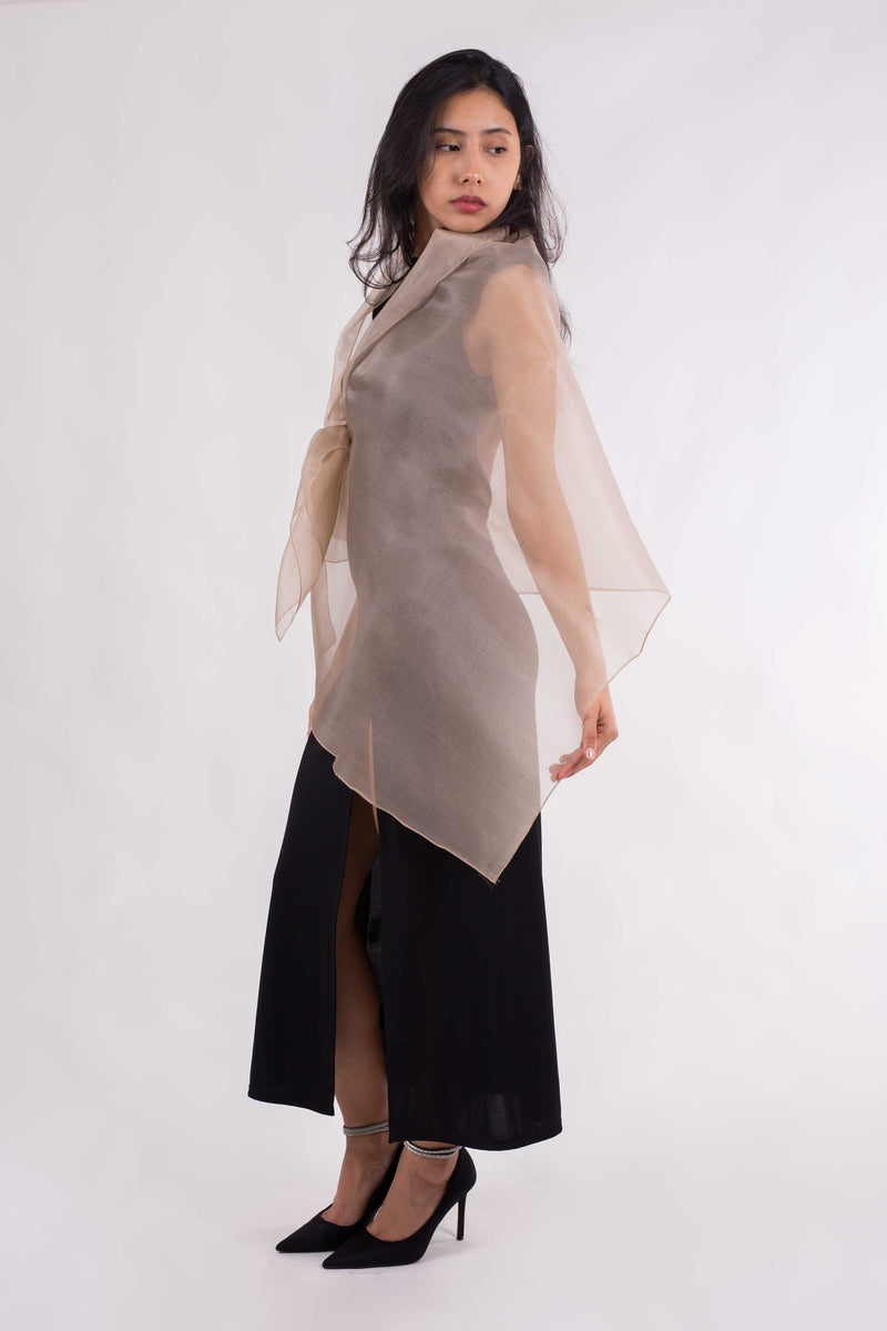 Natural Silk Organza Shawl: Beige