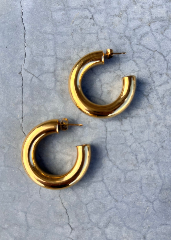 Gold Hoop Earrings