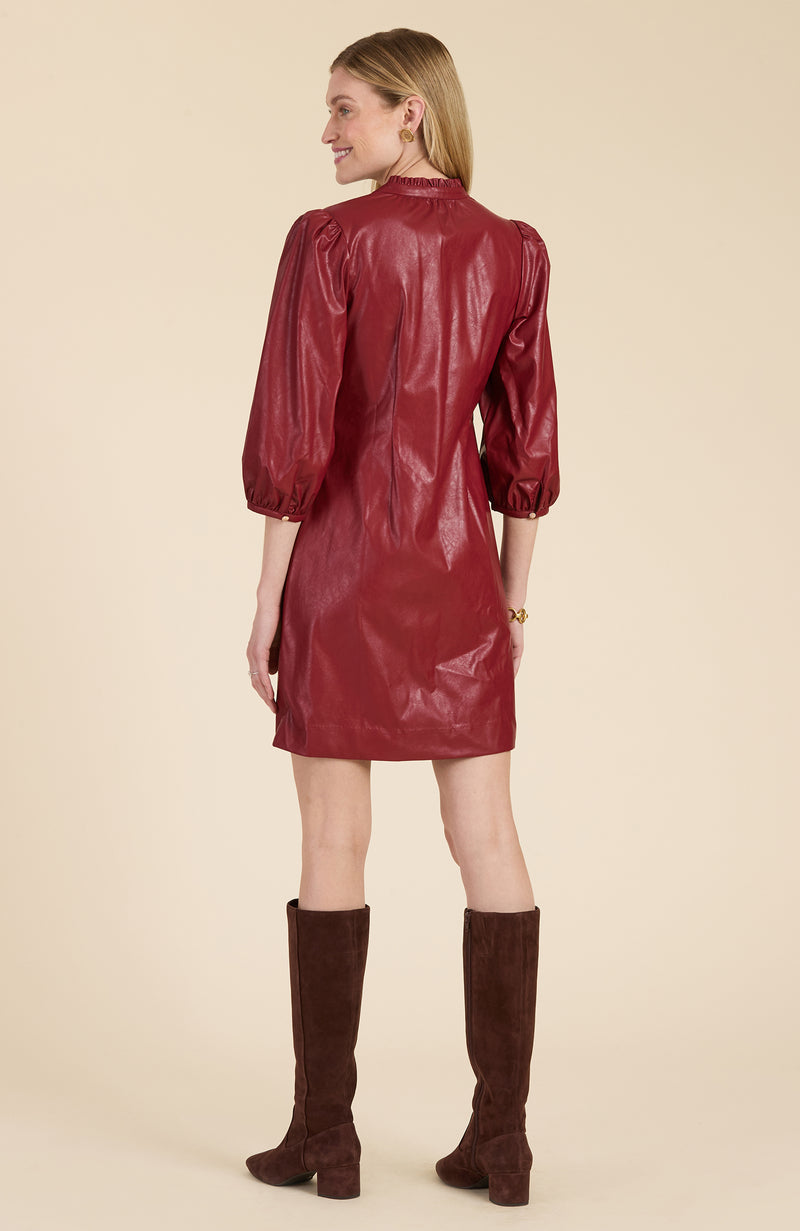 Sherri Vegan Leather Dress