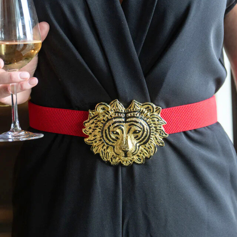 Red Interchangeable Stretch Belt Band