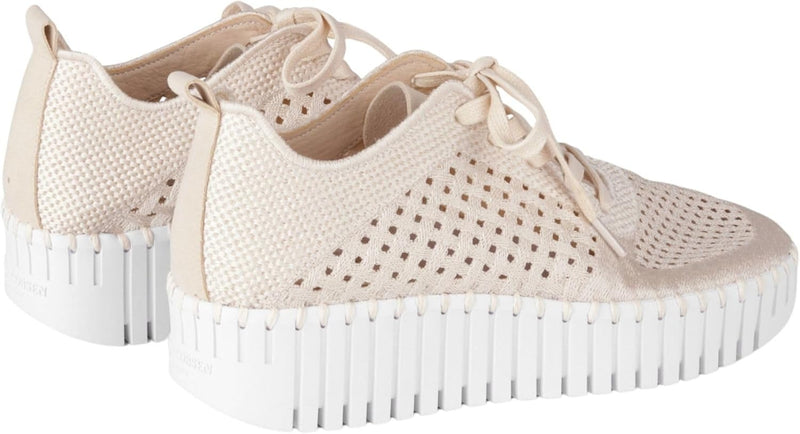 Tulip 4271 Lace up Wedge