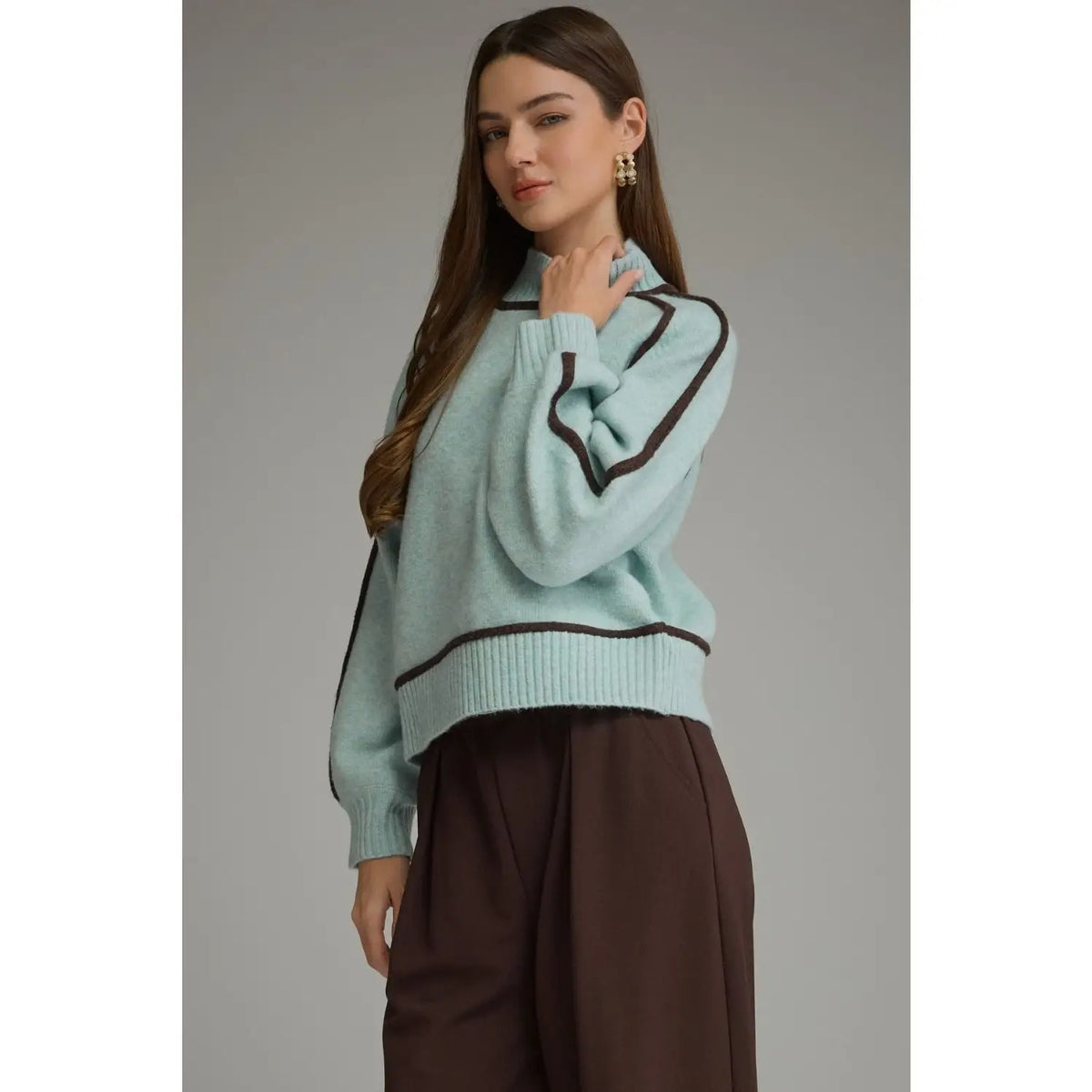 Solid Long Balloon Sleeve Sweater Top