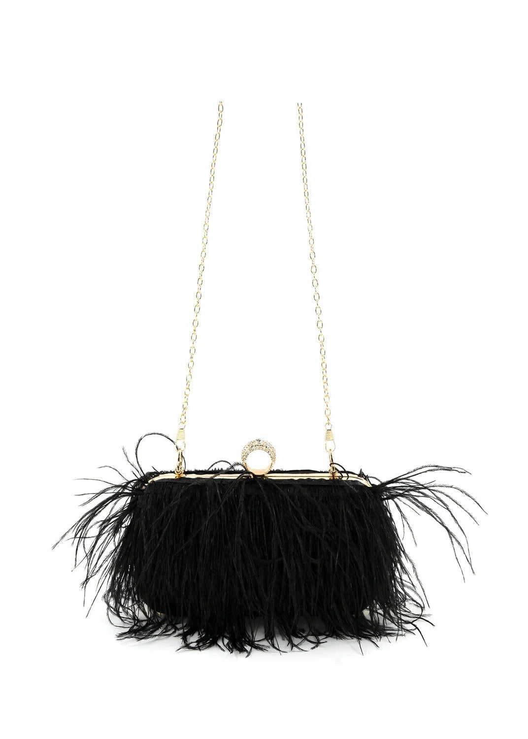 Feathers Evening Clutch