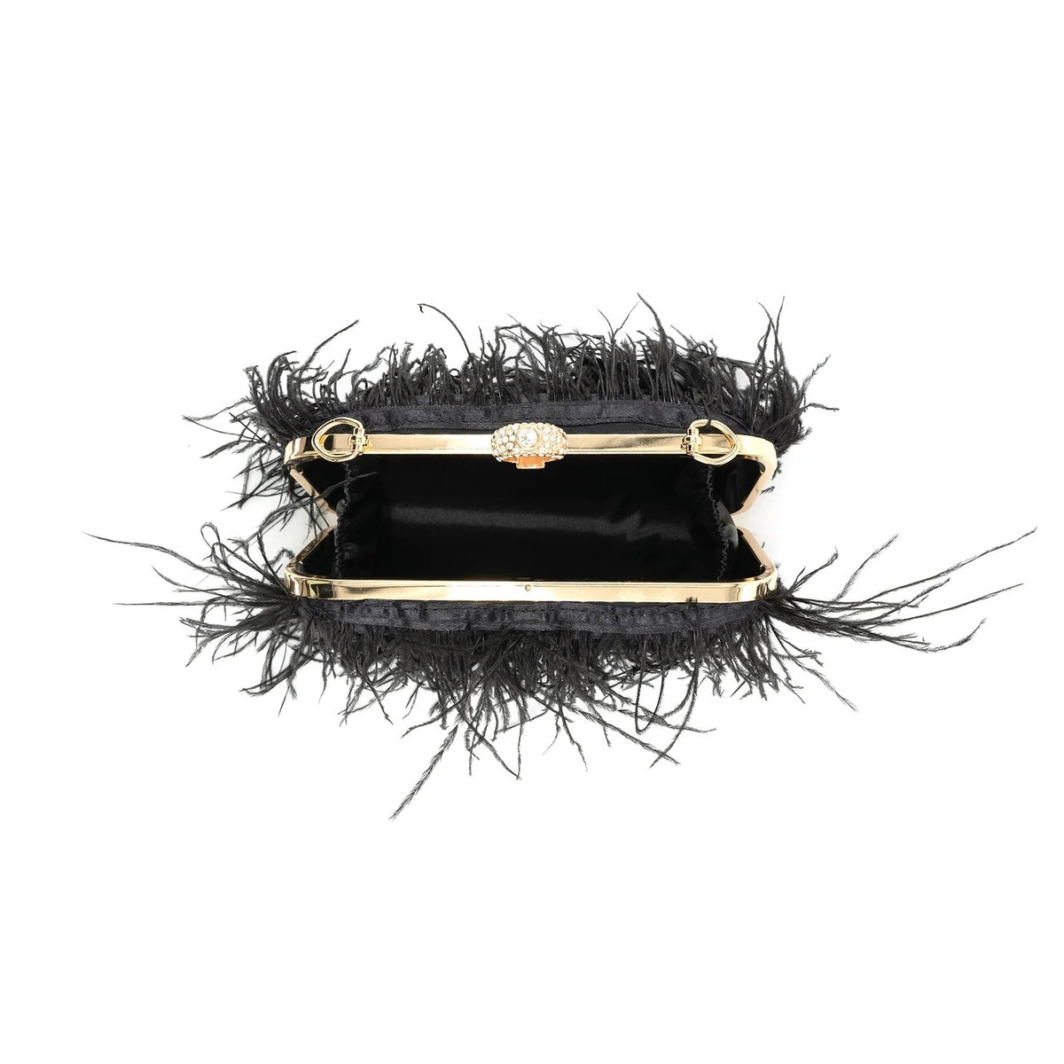 Feathers Evening Clutch