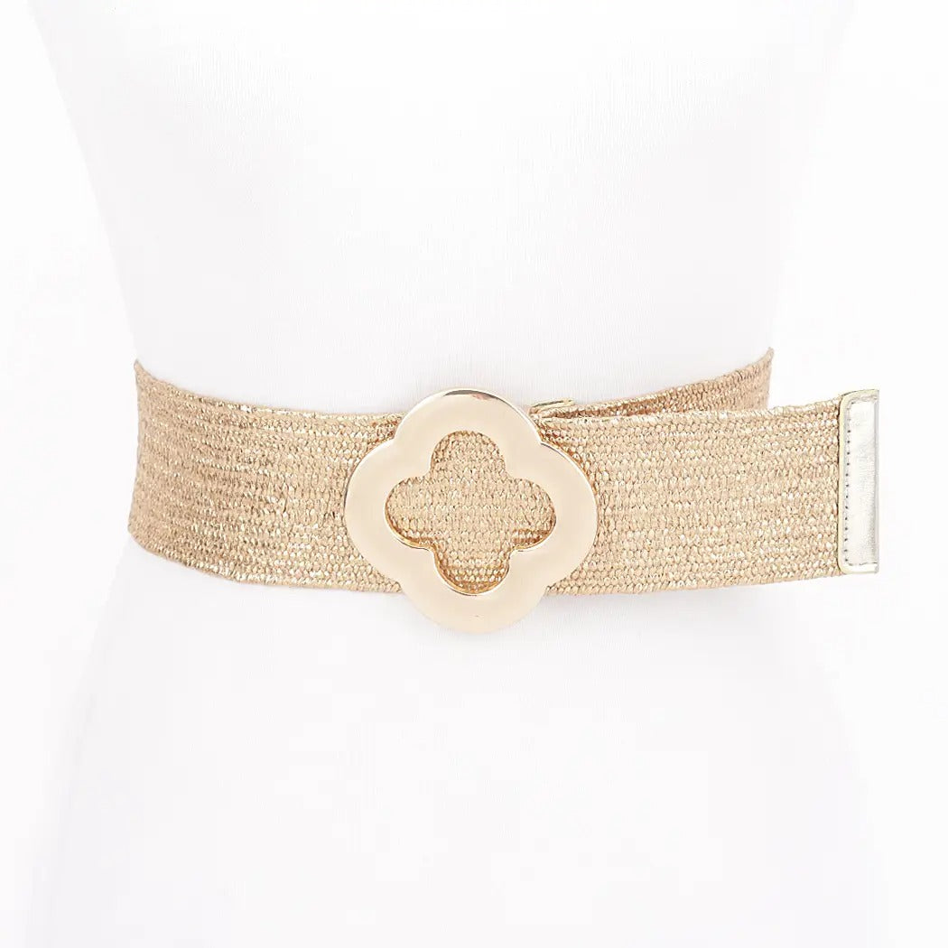 Metal Buckle Metallic Belt