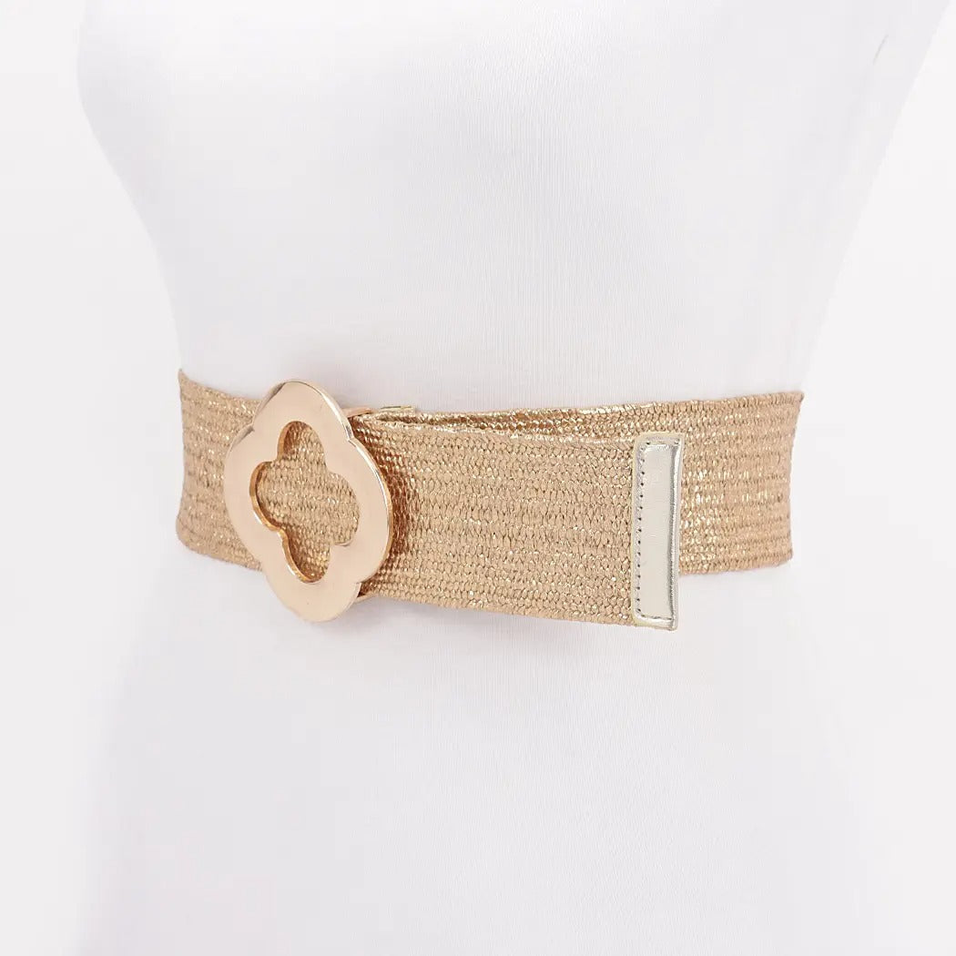Metal Buckle Metallic Belt