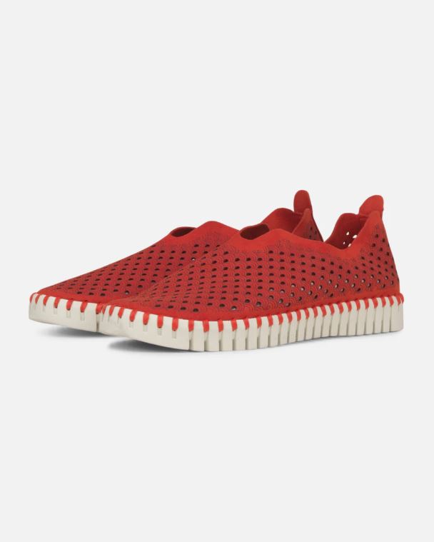 Tulip Slip On Shoe - 3 Colors 5 Deep Red