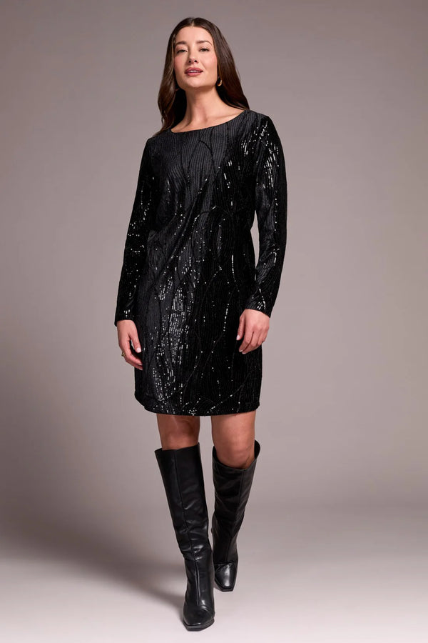 Sequin Velvet Lined A-Line Dress