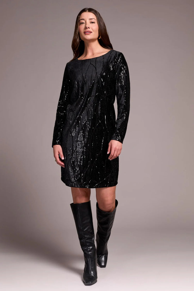 Sequin Velvet Lined A-Line Dress