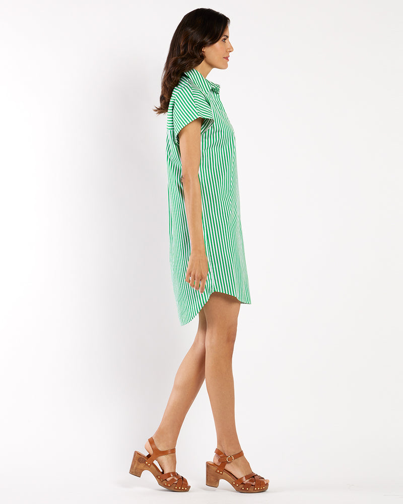 Carter Cotton Shirting
