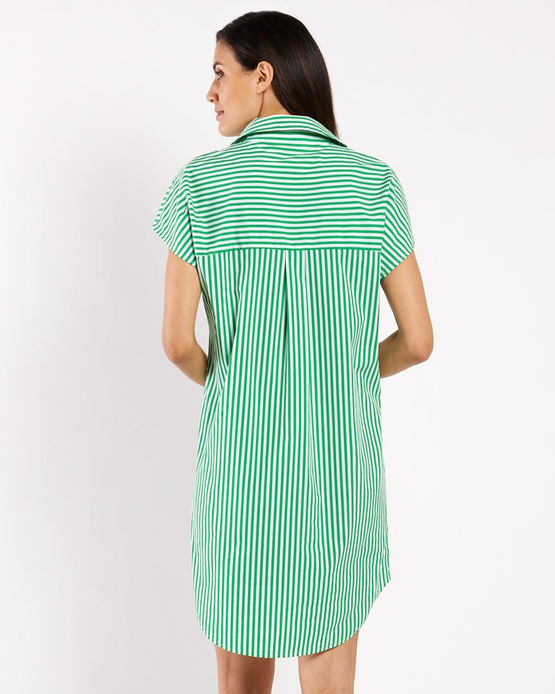 Carter Cotton Shirting