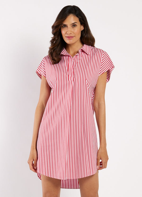 Carter Dress Cotton Shirting
