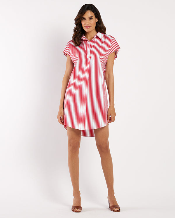 Carter Dress Cotton Shirting