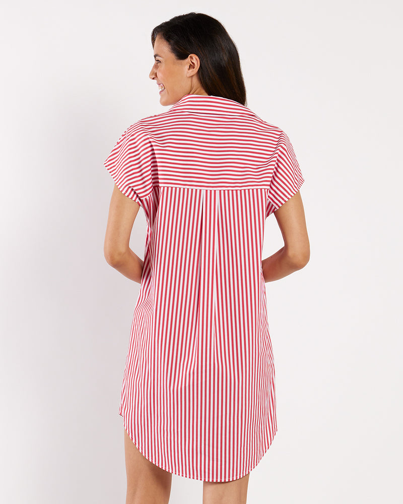 Carter Dress Cotton Shirting