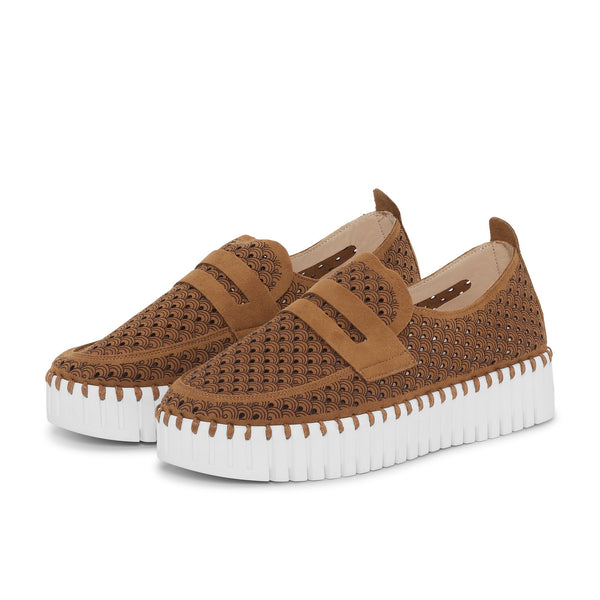 クラブ coco1214 Tulip 3899 Loafer – Ginger Howard Selections